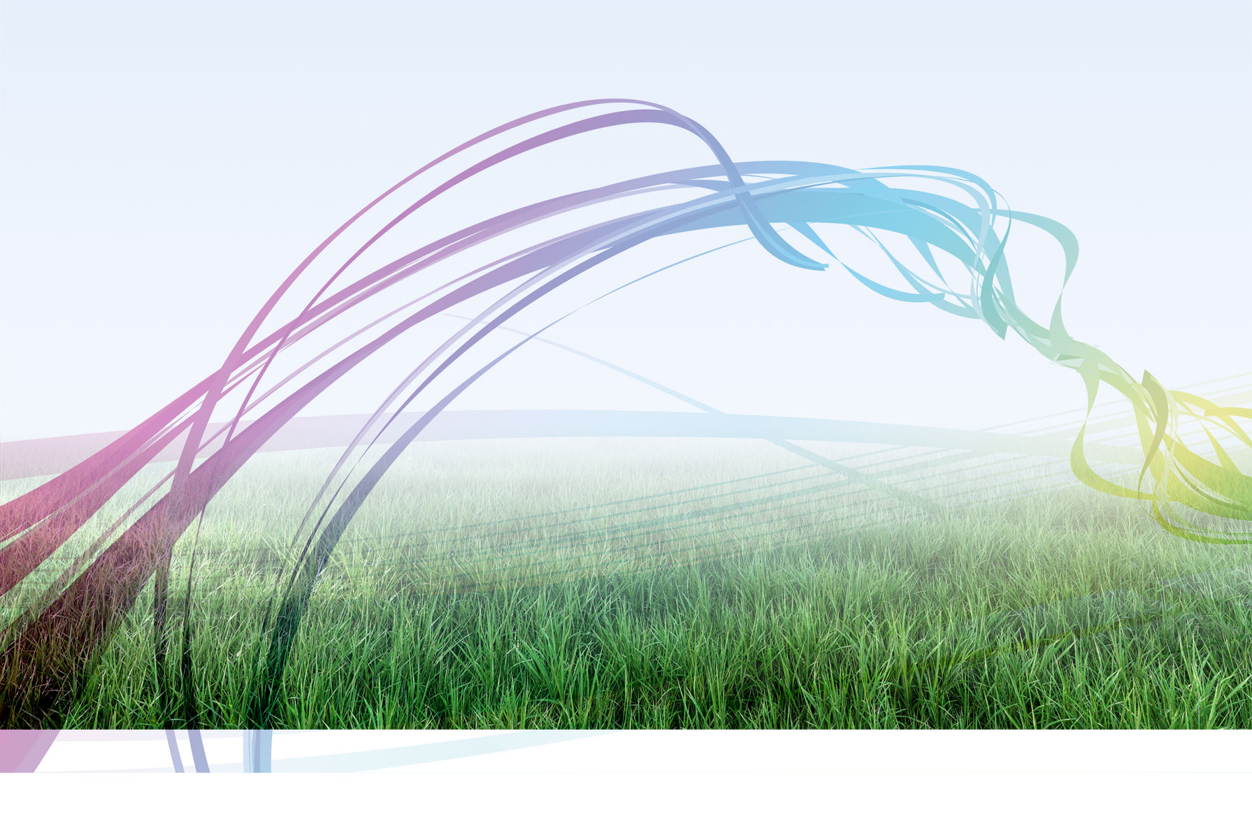 シナジーイメージの画像